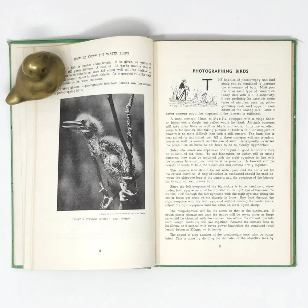 Title: How to Know Water Birds 1960 Vintage HC Pictured-Key Nature Series